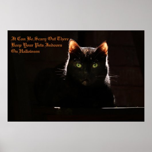 Houd uw huisdieren binnen poster (Voorkant)