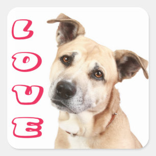 Houd van American Staffordshire Terrier Hond Stick Vierkante Sticker