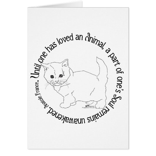 Houd van een kat (Voorkant)