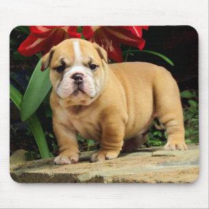 Houd van Engelse Bulldog Puppy Hond Muismat
