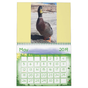 Houd van me wat knaagt aan de Kalender van 2019