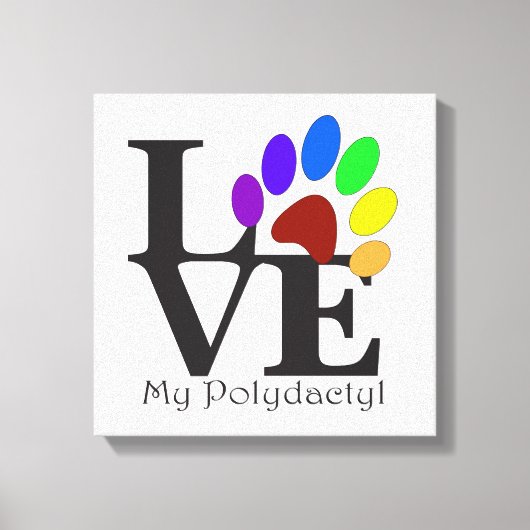 HOUD VAN mijn polydacylkat Canvas Afdruk (Voorkant)