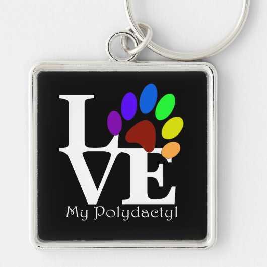 HOUD VAN Mijn Sleutelhanger met polydactylkat (Voorkant)
