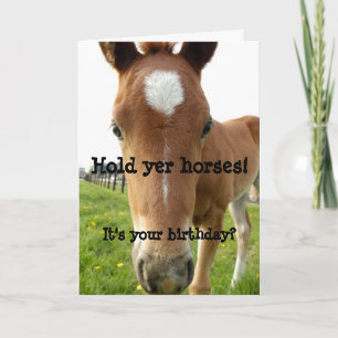 Houd Yer Horses Birthday horse face Kaart