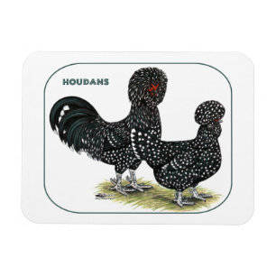 Houdan Chickens Magneet