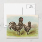 Houdans Briefkaart (Voorkant / Achterkant)