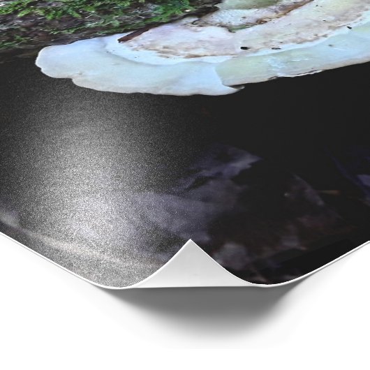 Houdbaarheid Foto Afdruk (Hoek)