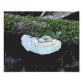 Houdbaarheid Foto Afdruk (Voorkant)