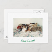 Houdbaarheid met gevulde dieren briefkaart (Voorkant / Achterkant)