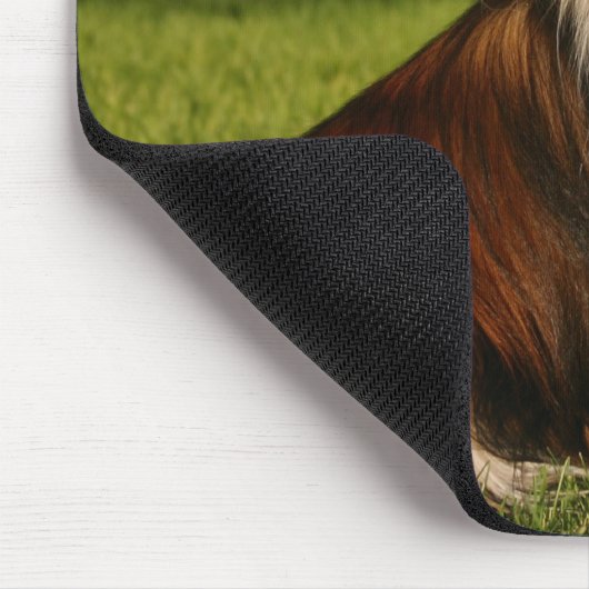 Houdbaarheid met Pet Muismat (Hoek)