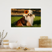 Houdbaarheid met Pet Poster (Keuken)