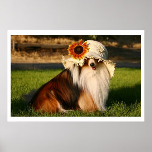 Houdbaarheid met Pet Poster