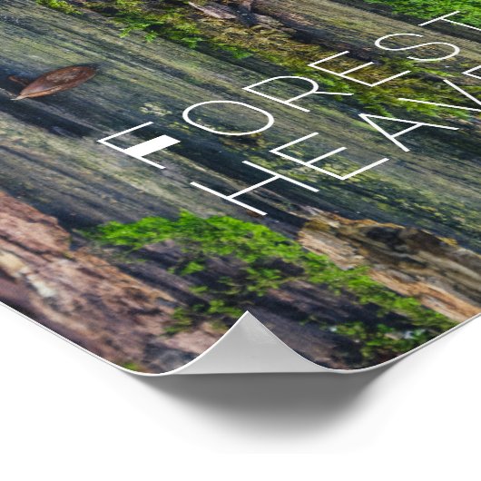 Houdbaarheid Poster (Hoek)