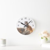 Houdbaarheid voor bescherming van Cliff gehoord ti Ronde Klok (Huis)