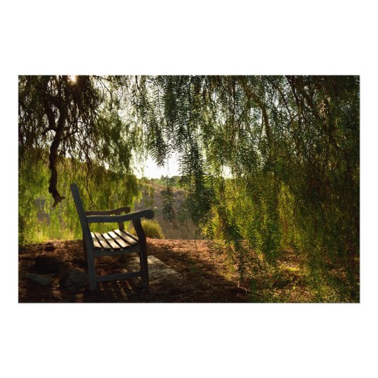 Houden Bench [24x20] Foto afdrukken (Voorkant)