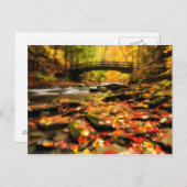 Houden Bridge en Creek in Herfst Briefkaart (Voorkant / Achterkant)