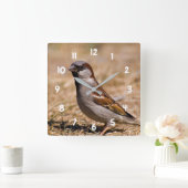 Houder van de Sparrow-vogelklok Vierkante Klok (Huis)