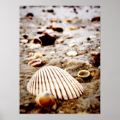 Houders aan de kust... Afdrukken Poster (Voorkant)