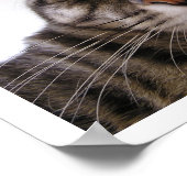 Houders hebben ook goede huizen nodig poster (Hoek)