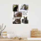 Houders hebben ook goede huizen nodig poster (Keuken)