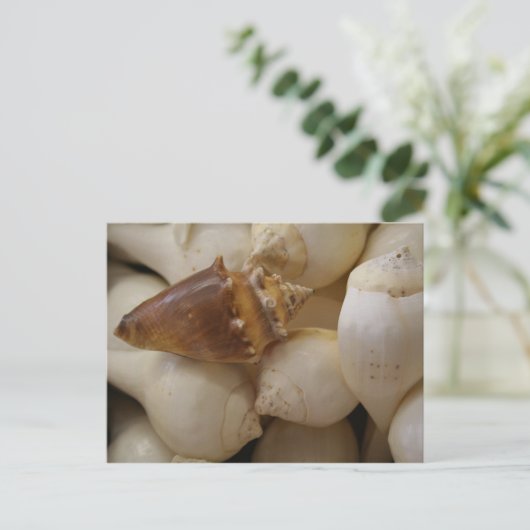 Houders II Briefkaart (Staand voorkant)