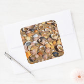 Houders op een zandstrand | Andalusië, Spanje Vierkante Sticker (Envelop)