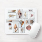 Houders op White Muismat (Met muis)