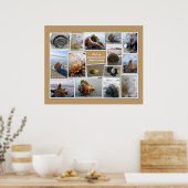 Houders van Daufuskie Island, SC Poster (Keuken)