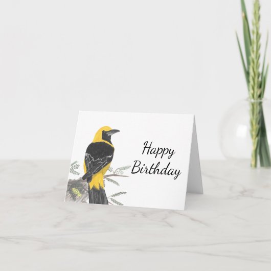 Houding Oriole White Background Birthday Kaart (Voorkant)