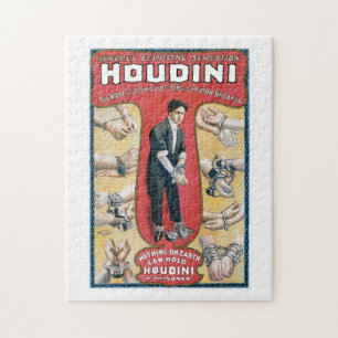 Houdini ~  Handcuff Escape Legpuzzel