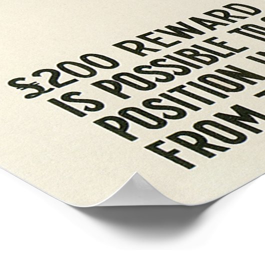 Houdini ~ Illusionist  Escape Artist Poster (Hoek)