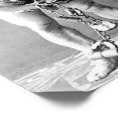 Houdini  poster (Hoek)