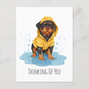 Houdt van jou Rottweiler-hond met regenjas Briefkaart