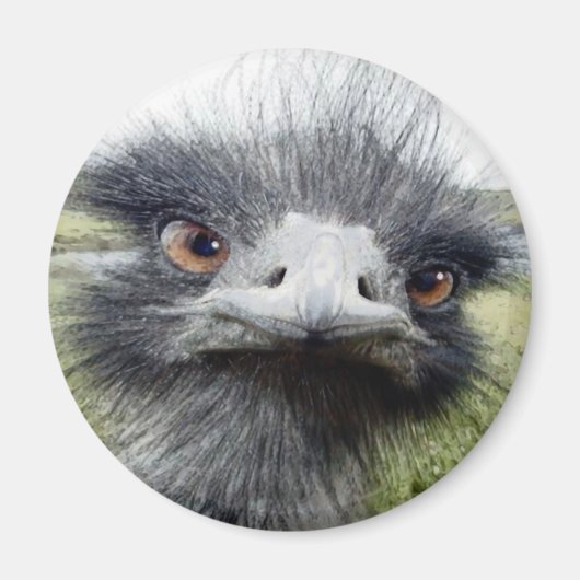 Houks Magneet (Voorkant)