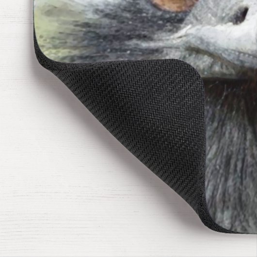 Houks Muismat (Hoek)