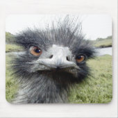 Houks Muismat (Voorkant)