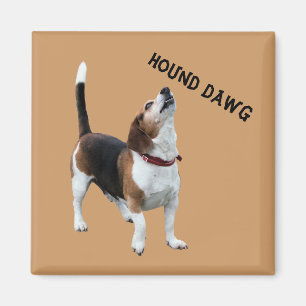 Hound Dawg Beagle Funny Dog Magnet