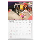 Hound District 18-maandelijkse kalender (Feb 2027)