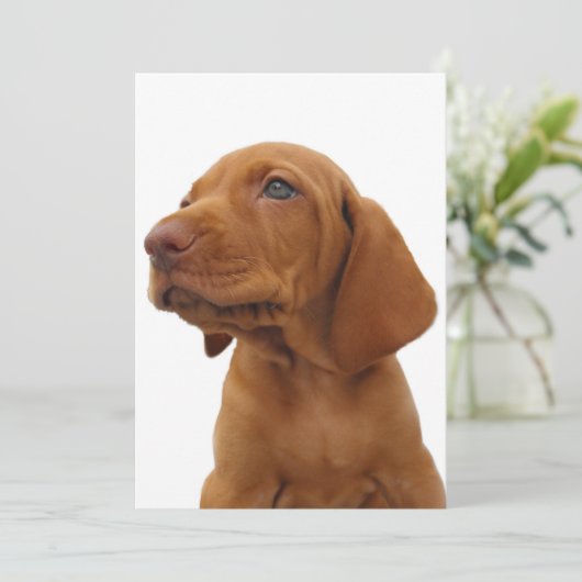 Hound Dog Invitation Kaart (Staand voorkant)