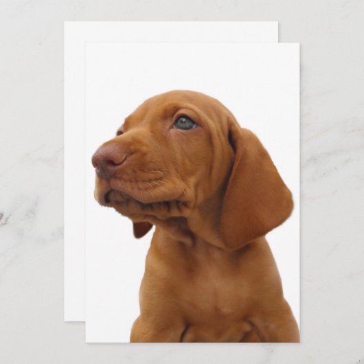 Hound Dog Invitation Kaart (Voorkant / Achterkant)