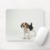 Hound Dog Muismat (Met muis)
