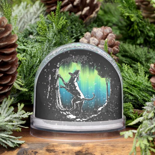 Hound Dog Snow Globe Custom Hunting Dog Snow Globe Sneeuwbol (Winter)