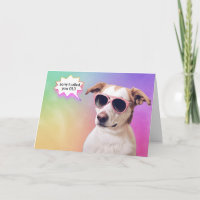 Hound hond op regenboog krijgen oude verjaardag