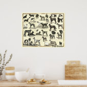 Hounds - Dog Breeds - Hunds Print Dogs (Keuken)