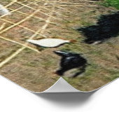 House and Reeds - Felix Vallotton Poster (Hoek)