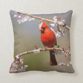 House Birds Photo Pillow Kussen