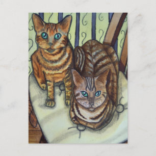 House Cats Briefkaart