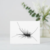 House Centipede Black Scary Bug Insect Gross Large Briefkaart (Staand voorkant)