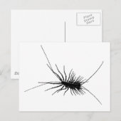 House Centipede Black Scary Bug Insect Gross Large Briefkaart (Voorkant / Achterkant)