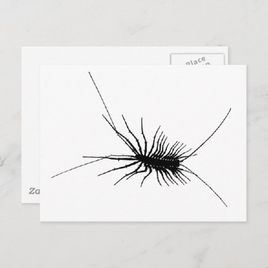 House Centipede Black Scary Bug Insect Gross Large Briefkaart (Voorkant / Achterkant)